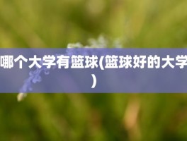 哪个大学有篮球(篮球好的大学)