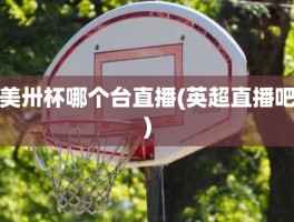 美卅杯哪个台直播(英超直播吧)