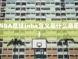 NBA意味(nba含义是什么意思)