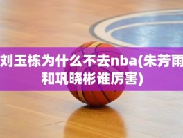 刘玉栋为什么不去nba(朱芳雨和巩晓彬谁厉害)