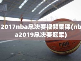 2017nba总决赛视频集锦(nba2019总决赛冠军)