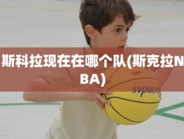 斯科拉现在在哪个队(斯克拉NBA)