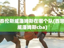 泰伦斯威廉姆斯在哪个队(西恩威廉姆斯cba)