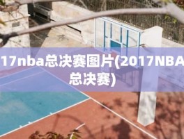 17nba总决赛图片(2017NBA总决赛)