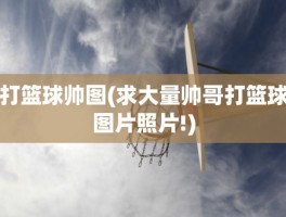 打篮球帅图(求大量帅哥打篮球图片照片!)