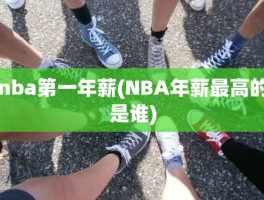 nba第一年薪(NBA年薪最高的是谁)