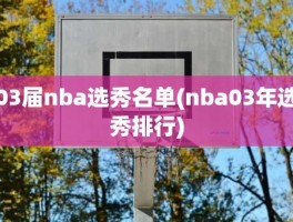 03届nba选秀名单(nba03年选秀排行)