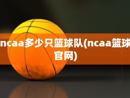 ncaa多少只篮球队(ncaa篮球官网)