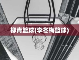 柳青篮球(李冬梅篮球)