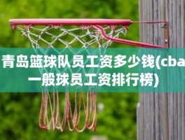 青岛篮球队员工资多少钱(cba一般球员工资排行榜)