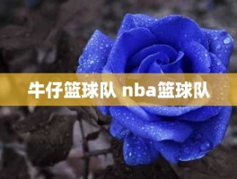 牛仔篮球队 nba篮球队