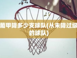 葡甲降多少支球队(从未降过级的球队)