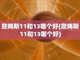 詹姆斯11和13哪个好(詹姆斯11和13哪个好)