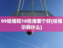 09哈维和10哈维哪个好(哈维尔弱什么)