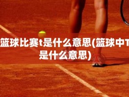 篮球比赛t是什么意思(篮球中T是什么意思)