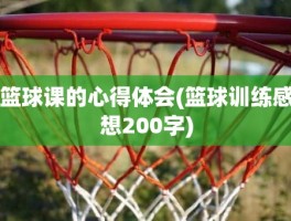 篮球课的心得体会(篮球训练感想200字)