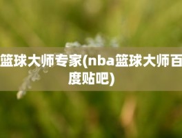 篮球大师专家(nba篮球大师百度贴吧)