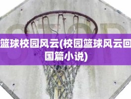 篮球校园风云(校园篮球风云回国篇小说)