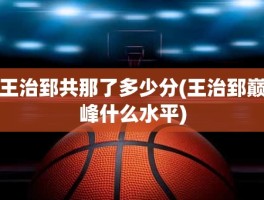 王治郅共那了多少分(王治郅巅峰什么水平)