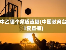 中乙哪个频道直播(中国教育台1套直播)