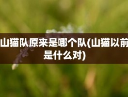 山猫队原来是哪个队(山猫以前是什么对)