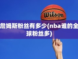 詹姆斯粉丝有多少(nba谁的全球粉丝多)