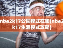 nba2k17公园模式在哪(nba2k17生涯模式攻略)