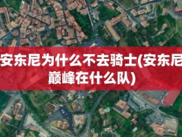 安东尼为什么不去骑士(安东尼巅峰在什么队)