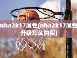 nba2k17属性(nba2k17属性升级怎么购买)