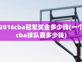 2016cba冠军奖金多少钱(一个cba球队要多少钱)