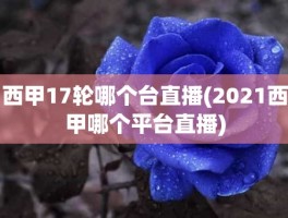 西甲17轮哪个台直播(2021西甲哪个平台直播)