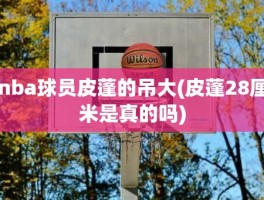 nba球员皮蓬的吊大(皮蓬28厘米是真的吗)