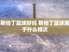 斯伯丁篮球好吗 斯伯丁篮球属于什么档次