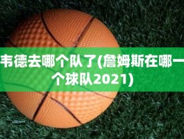 韦德去哪个队了(詹姆斯在哪一个球队2021)