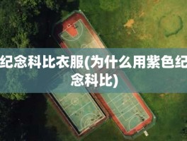 纪念科比衣服(为什么用紫色纪念科比)