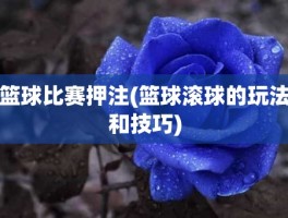 篮球比赛押注(篮球滚球的玩法和技巧)