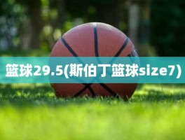 篮球29.5(斯伯丁篮球size7)