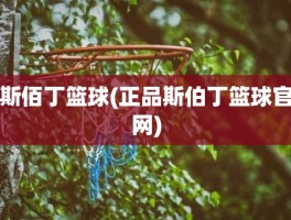 斯佰丁篮球(正品斯伯丁篮球官网)