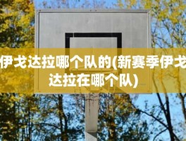 伊戈达拉哪个队的(新赛季伊戈达拉在哪个队)