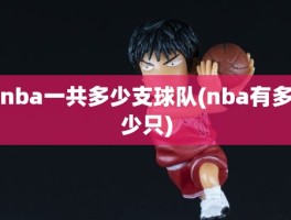 nba一共多少支球队(nba有多少只)