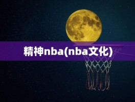 精神nba(nba文化)