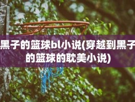 黑子的篮球bl小说(穿越到黑子的篮球的耽美小说)