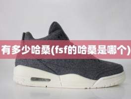 有多少哈桑(fsf的哈桑是哪个)