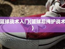 篮球战术入门(篮球后掩护战术)