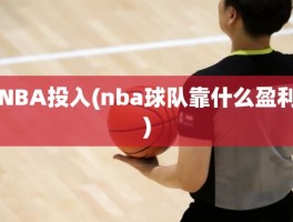 NBA投入(nba球队靠什么盈利)