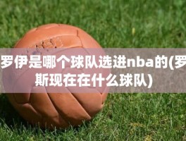 罗伊是哪个球队选进nba的(罗斯现在在什么球队)