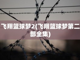 飞翔篮球梦2(飞翔篮球梦第二部全集)