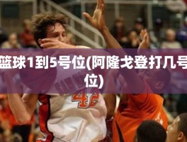 篮球1到5号位(阿隆戈登打几号位)