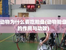 动物为什么要吃胎盘(动物胎盘的作用与功效)