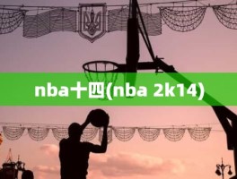 nba十四(nba 2k14)